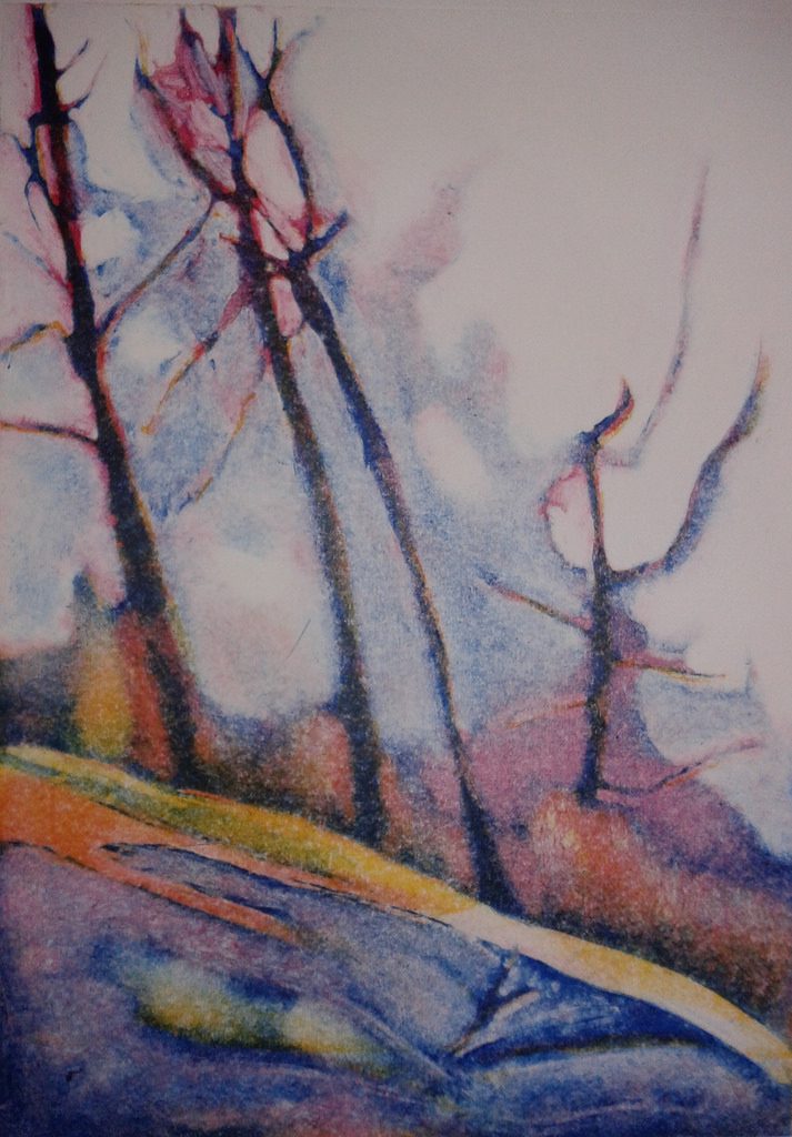 12240148864_6085bfb284_b