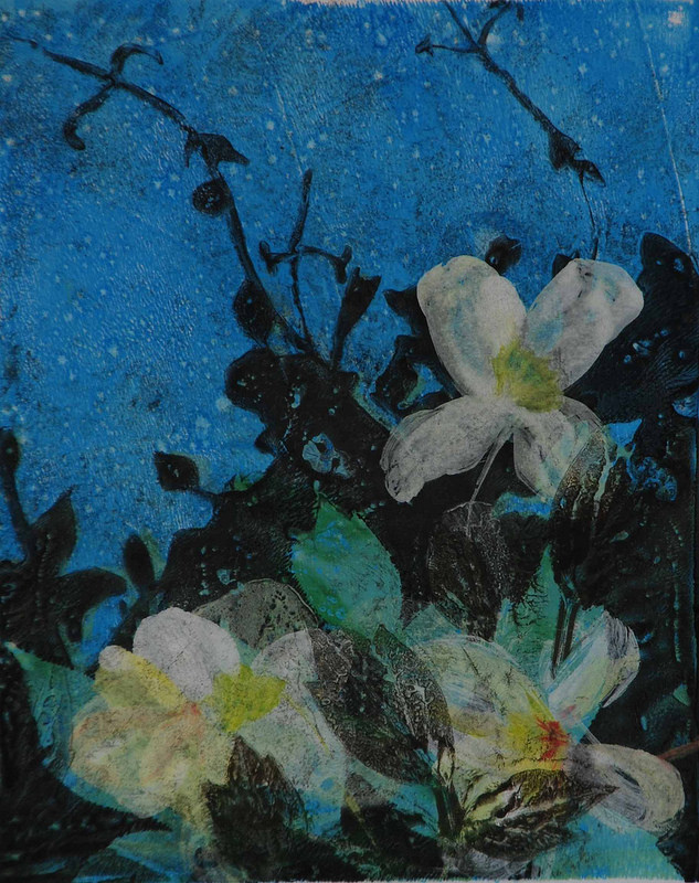 14196088468_eff489537e_c